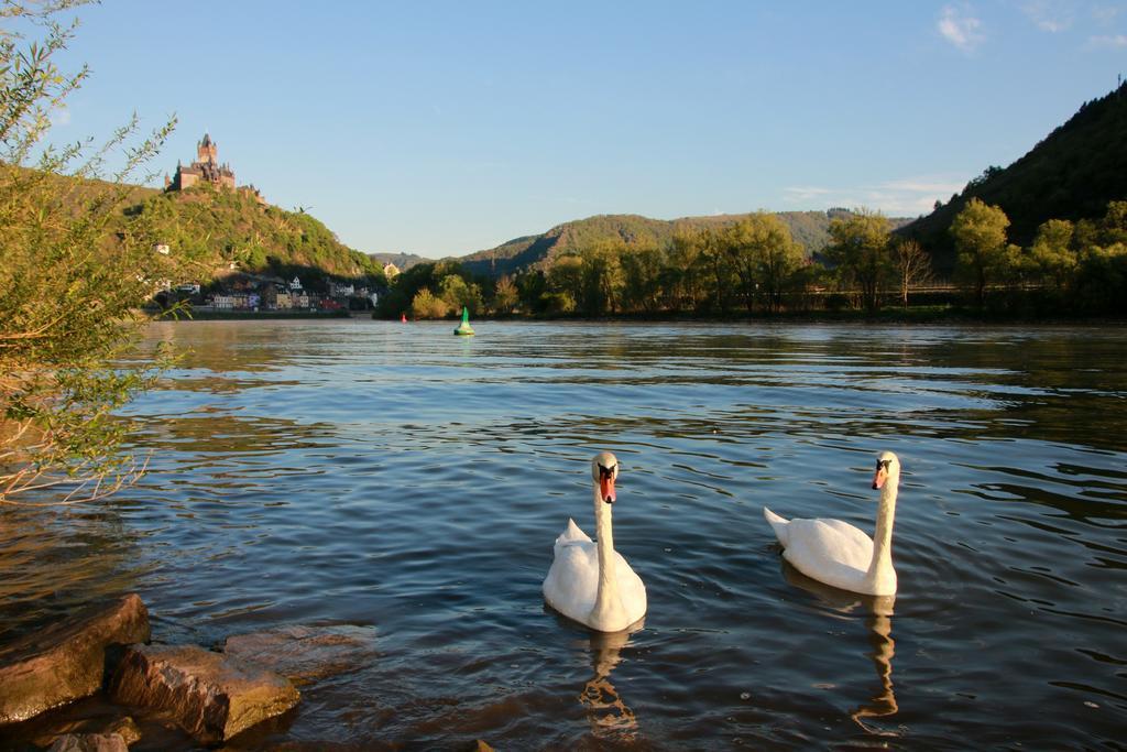Hotel Klasen Cochem Ngoại thất bức ảnh